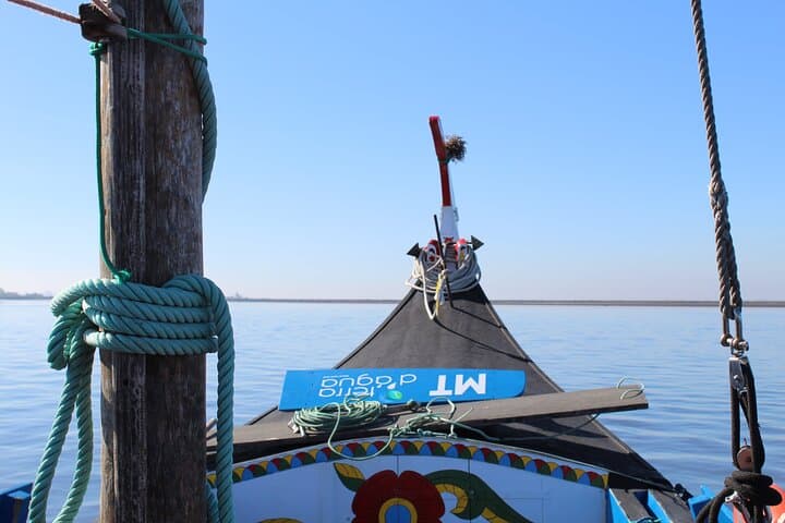 Moliceiro Boat Trip and Bivalve Harvesting in Ria de Aveiro