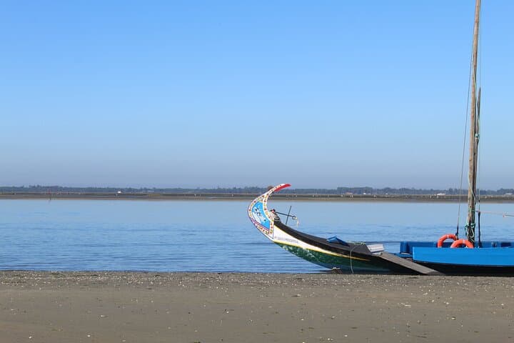 Moliceiro Boat Trip and Bivalve Harvesting in Ria de Aveiro photo 2