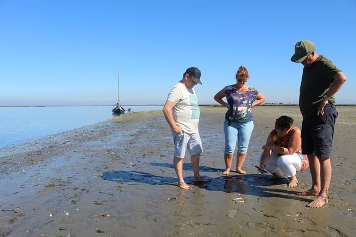 Moliceiro Boat Trip and Bivalve Harvesting in Ria de Aveiro photo 3