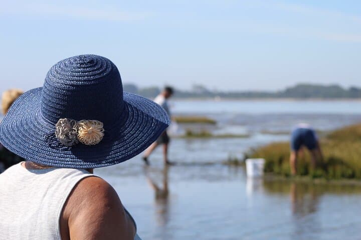 Moliceiro Boat Trip and Bivalve Harvesting in Ria de Aveiro photo 4