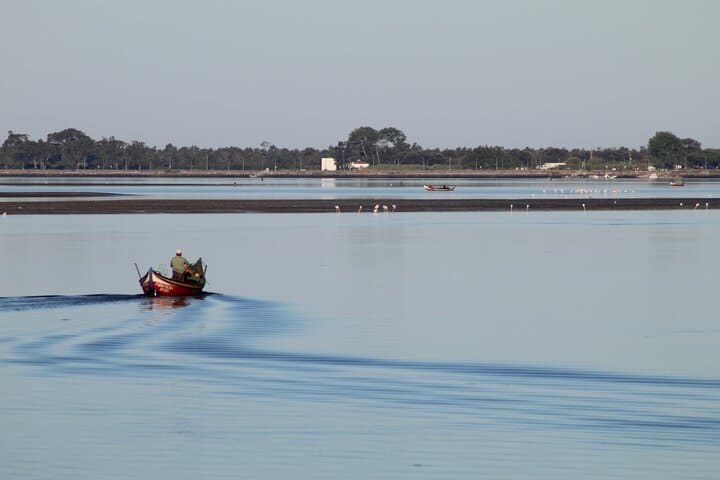 Moliceiro Boat Trip and Bivalve Harvesting in Ria de Aveiro photo 5