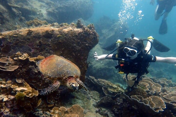 Advanced PADI Open Water Course in Phuket: 5 Dives Over 2 Days photo 6