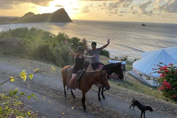Sunset Horseback Ride & Beach Swim at Cap Estate — Dore's Riding Stable