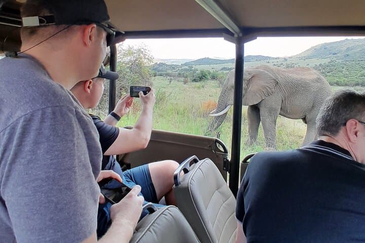 4-Day Kruger National Park Safari from Johannesburg — Big Five & Panorama Route photo 2