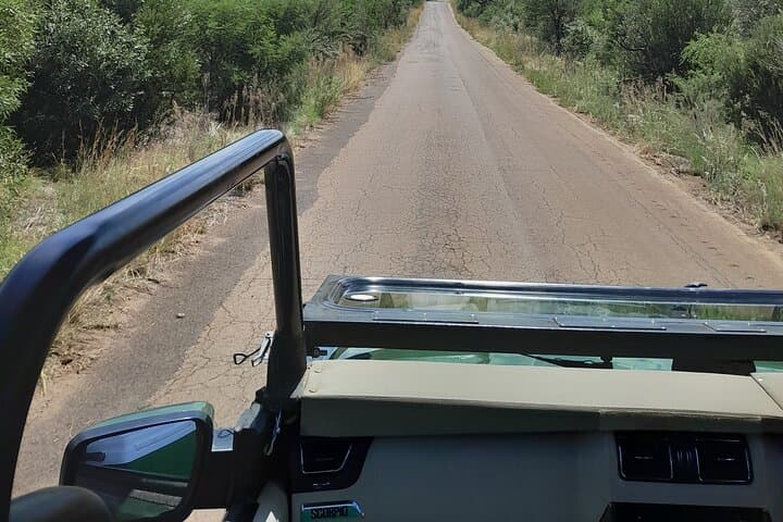 4-Day Kruger National Park Safari from Johannesburg — Big Five & Panorama Route photo 3