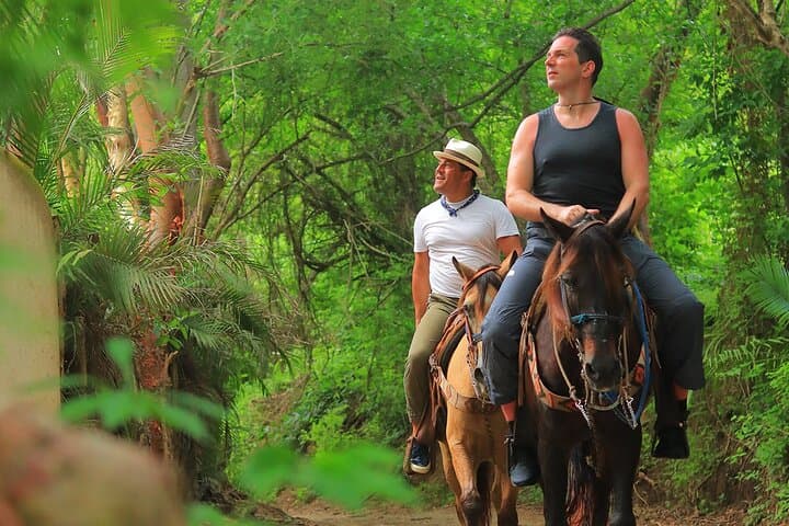 Gallop Through Jungle and Shoreline: Horseback Riding in Sayulita photo 1