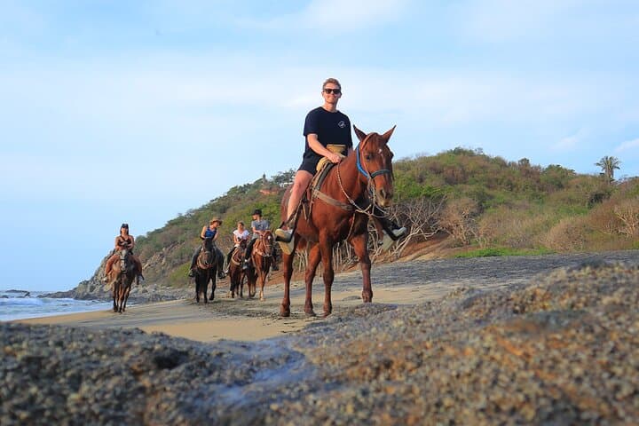 Gallop Through Jungle and Shoreline: Horseback Riding in Sayulita photo 2