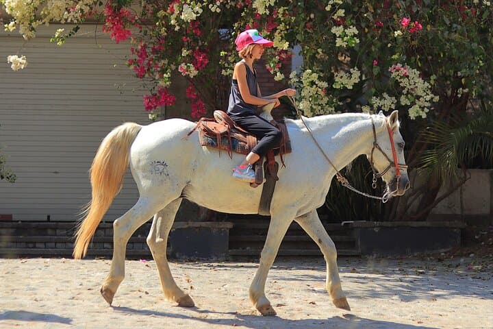 Gallop Through Jungle and Shoreline: Horseback Riding in Sayulita photo 3