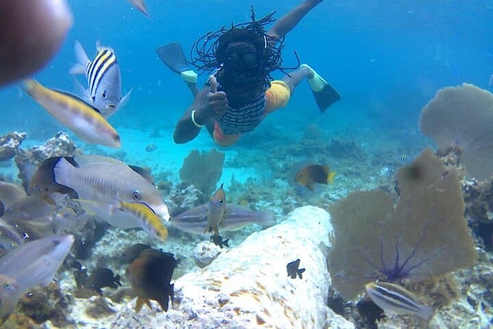 Negril Guided Snorkeling: Reef, Shipwreck Anchor & Cannon Adventure