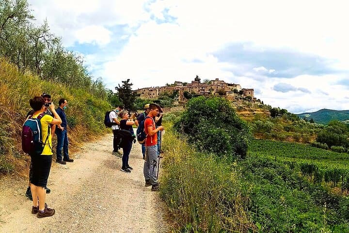 Chianti Eno-Excursion: Walking the Vineyards and Tasting Wines at Montefioralle photo 6