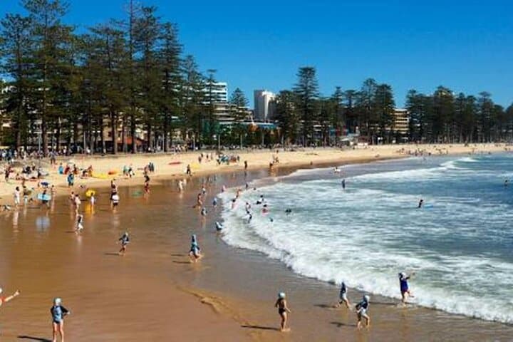Wet & Dry Manly from Sydney — Manly Walking Tour with Scenic Ferry Ride photo 4