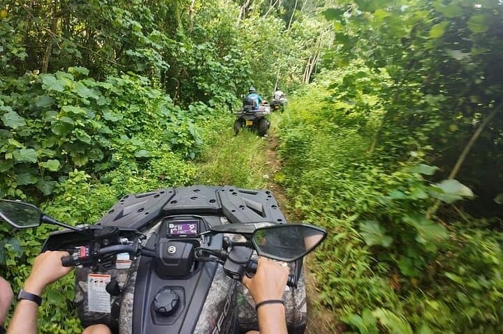Tahaa Quad Tour: Explore Vanilla Groves, Pearl Farms & Marae by ATV photo 2