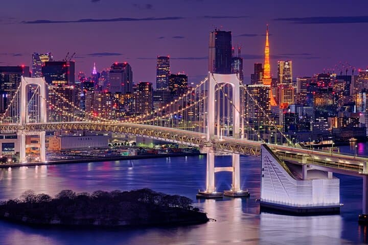 Tokyo in a Day — Private Full-Day Tour of Shrines, Temples, Skytree & Culture