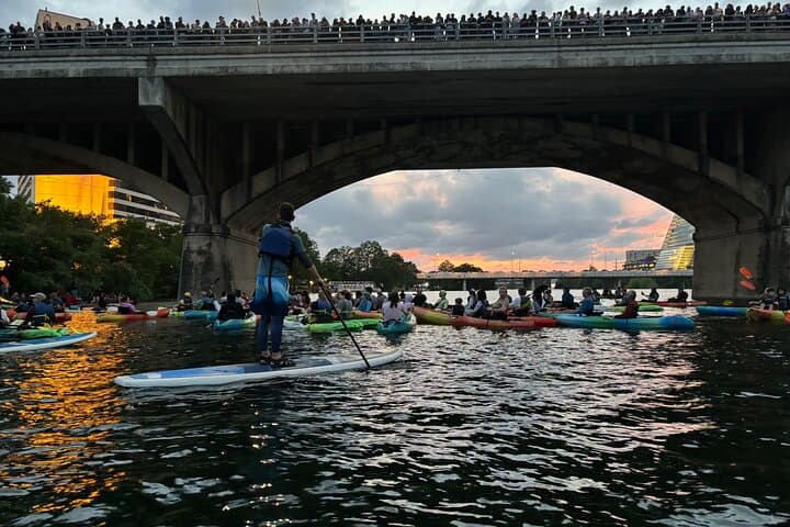 Congress Avenue Bat Bridge Paddleboard Tour — Lady Bird Lake Bat Watching at Dusk
