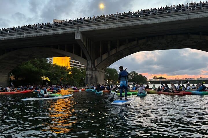 Congress Avenue Bat Bridge Paddleboard Tour — Lady Bird Lake Bat Watching at Dusk photo 4