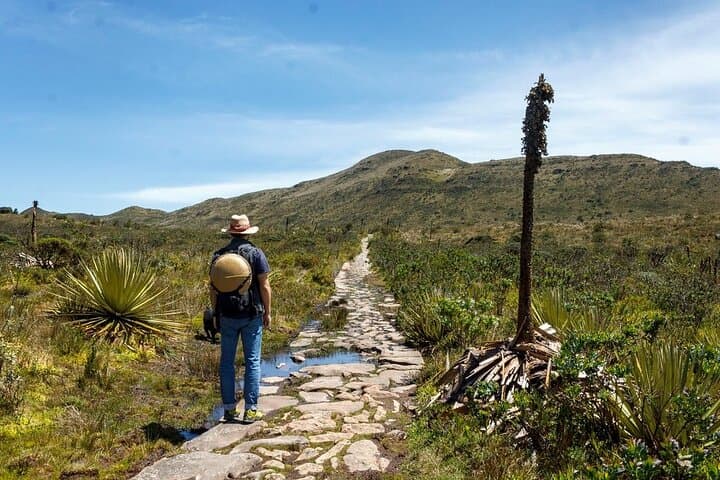 Páramo Hike to Laguna de Teusacá — Day Hike from Bogotá to Mataredonda