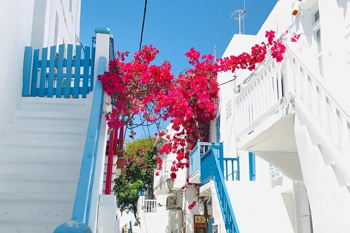 Essential 3-Hour Private Tour of Mykonos: Windmills, Little Venice & Beaches photo 6