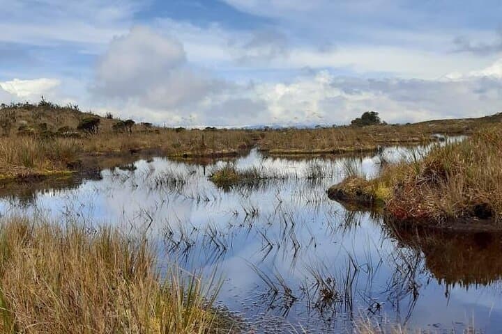 Páramo Hike to Laguna de Teusacá — Day Hike from Bogotá to Mataredonda photo 5
