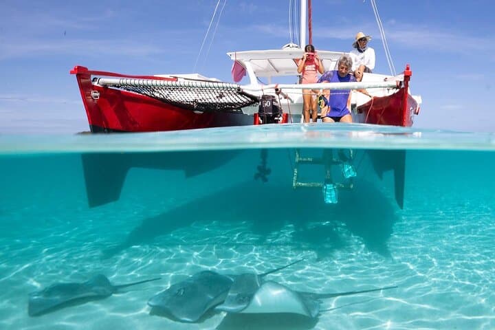 Private Moorea Sunset Catamaran Snorkel on Taboo — Sharks, Rays & Coral Gardens photo 4