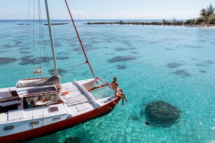 Private Moorea Sunset Catamaran Snorkel on Taboo — Sharks, Rays & Coral Gardens