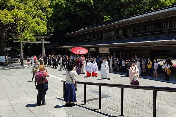 First-Time Tokyo Private Walking Tour: Meiji Shrine, Tsukiji & Asakusa in One Day photo 4