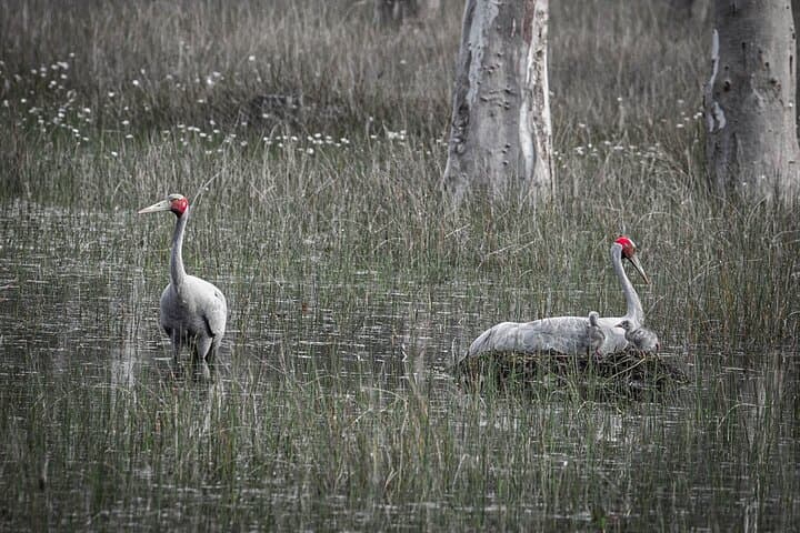 Warrawindi Farms Exclusive 3-Hour Farm Experience, South Australia photo 2