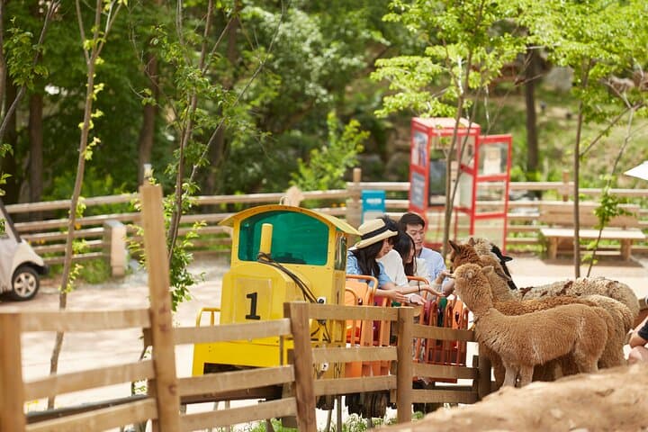 Nami Island, Alpaca World & Garden of Morning Calm Day Tour — Rail Bike Option photo 6