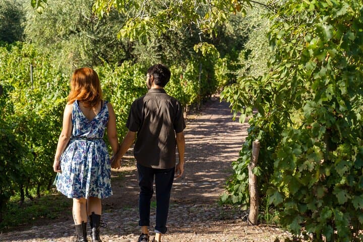 Ultimate Maipú Winery Tour & Gourmet Lunch — Day Trip from Mendoza photo 4