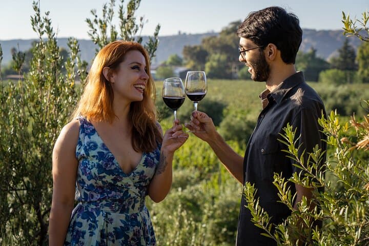 Ultimate Maipú Winery Tour & Gourmet Lunch — Day Trip from Mendoza