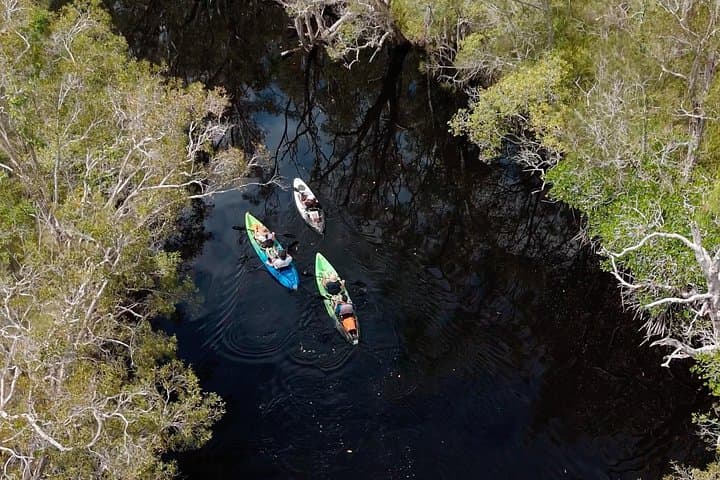 Noosa Sightseeing Trail: Ferry Cruise, Beach Walk, Bike & Kayak Adventure photo 2