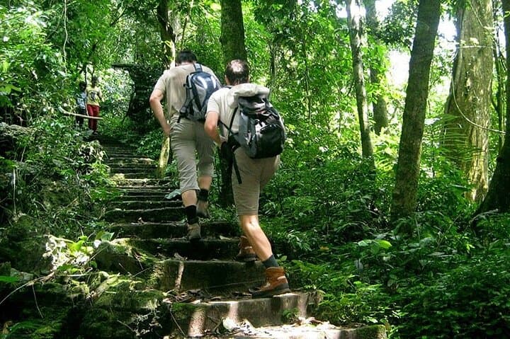Exploring Cuc Phuong National Park: Day Trek to Ancient Trees & Primate Rescue Center photo 4
