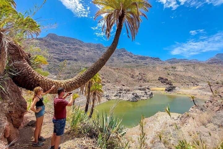 Gran Canaria Cave, Oasis & Red-Gorge Day Hike with Canarian Picnic photo 2