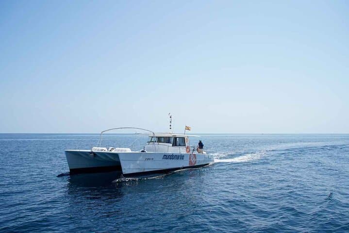 Calpe-Altea Catamaran Paella Cruise: Half-Day Sail and Swim photo 5