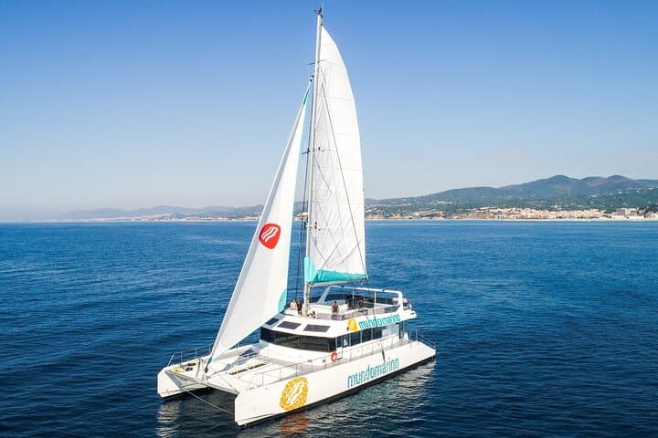 Bay of Malaga Catamaran Cruise: 1-Hour Eco Sailing from Muelle Uno photo 3