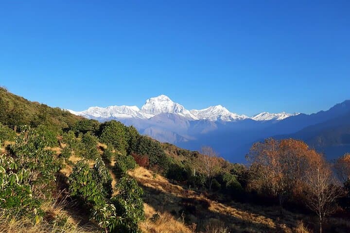 6-Day Poon Hill Sunrise Trek — Annapurna Foothills & Ghorepani Views photo 2