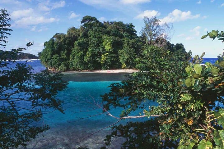 All-Day Ocho Rios Adventure: Blue Hole Swim, Secret Falls & ATV Experience photo 2
