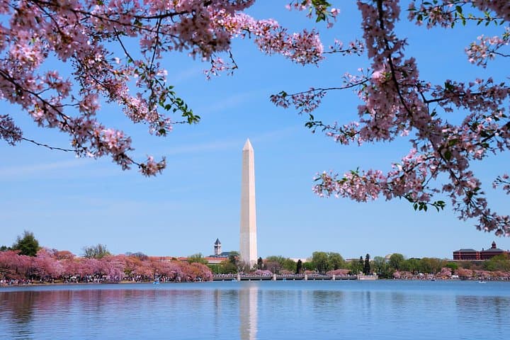 Private Transfer from Dulles Airport (IAD) to Washington DC City Center photo 3