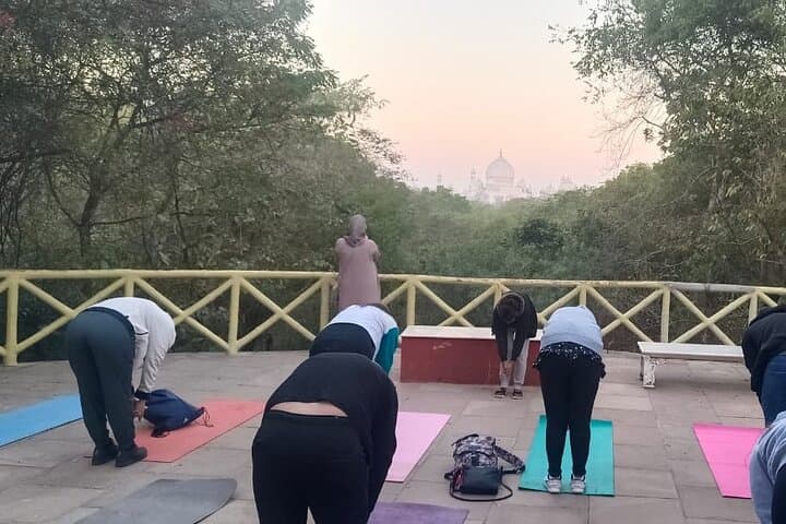 Sunrise Yoga with Taj Mahal View — 1-Hour Class in Agra photo 4