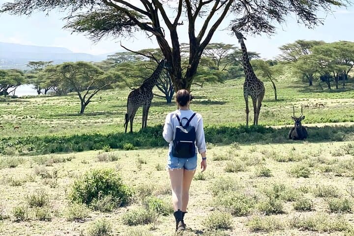Crescent Island Walk & Lake Naivasha Boat Safari — Guided Day Trip from Nairobi