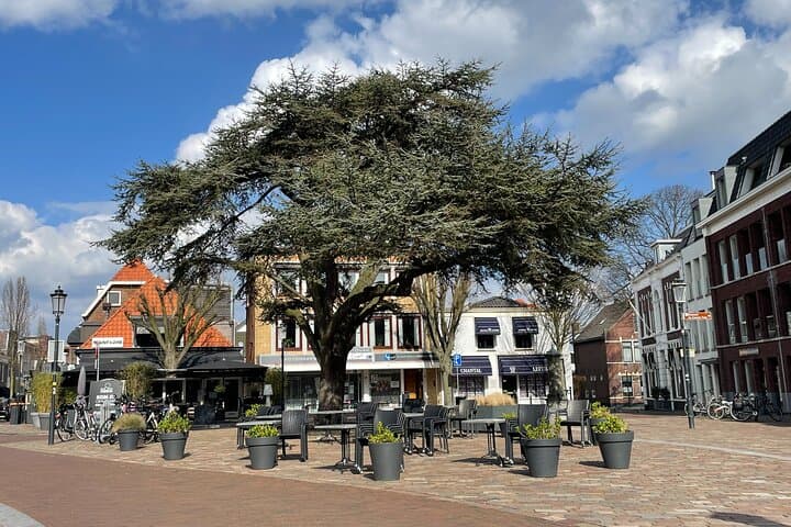 Lisse Flower City Game — Self-Guided Walking Tour Through the Bollenstreek photo 3