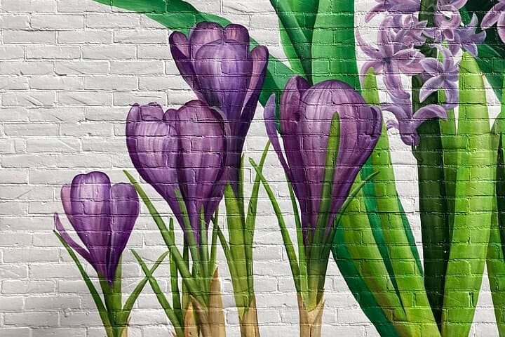 Lisse Flower City Game — Self-Guided Walking Tour Through the Bollenstreek photo 2