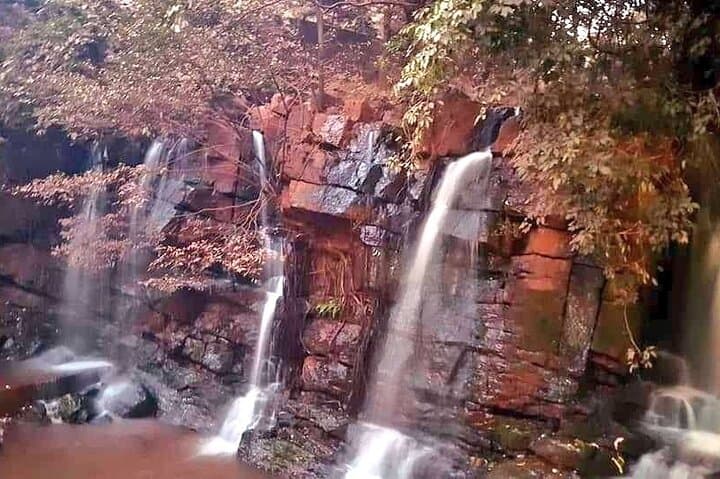 Saranda Forest & Waterfall Tour: 4-Day Elephant Corridor Adventure from Kolkata photo 2