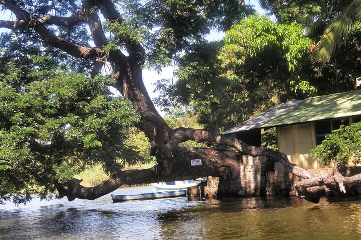 Exploring Colonial Granada: A Full-Day Cultural and Natural Adventure from Dreams Las Mareas photo 6