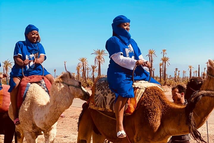 Palmeraie Camel Ride Marrakech — 90-Minute Camel Trek & Mint Tea photo 4