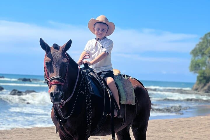 Jaco Beach Horseback Riding Tour — Forest-to-Beach Ride on Flat Terrain photo 2
