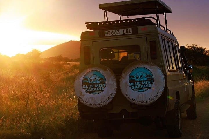 7-Day All-Inclusive Tanzania Safari: Serengeti, Ngorongoro & Maasai Culture