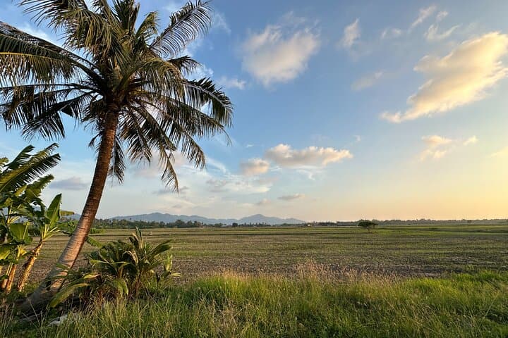 Sunset Buggy Ride Through Balik Pulau Paddy Fields — Penang Off-Road Experience photo 3