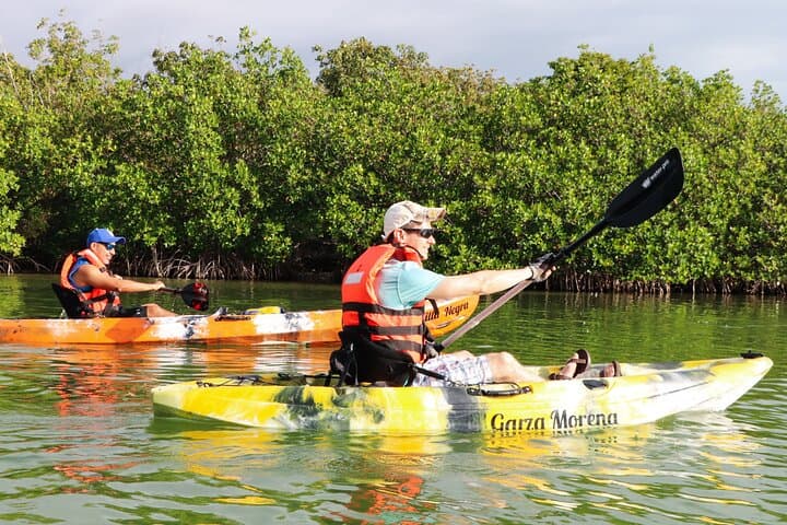 Nichupte Lagoon Mangrove Kayak Tour from Cancun — Guided Wildlife Paddle photo 5