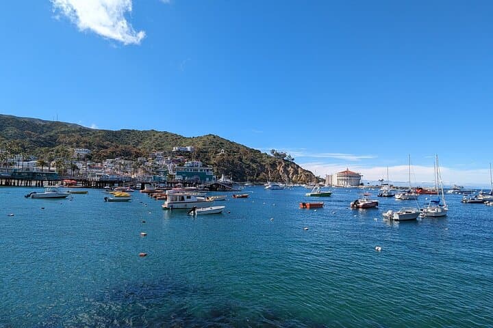 Avalon Catalina Scavenger Hunt: Self-Guided Harbor Walking Tour