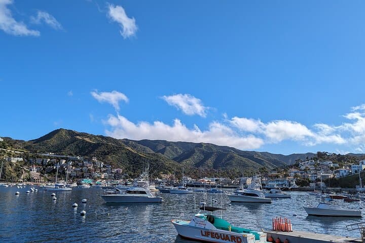 Avalon Catalina Scavenger Hunt: Self-Guided Harbor Walking Tour photo 2